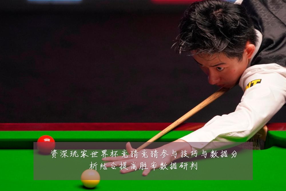资深玩家世界杯竞猜竞猜参与技巧与数据分析结合提高胜率数据研判